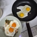 정든세탁소 | 한서일상(0303-0308) : 2026년 첫 야근 없는 주