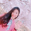 하서2리 | 절리인근맛집 <기와집해물칼국수> 부추면 해물칼국수(2인) + 왕만두 솔직후기, 강력추천!!TV SBS 출연맛집