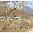 고향의봄 이미지