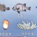 독도어장 이미지