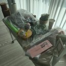 [셀프 백일상] 꿀떡이 축 100일 셀프 백일상차림 내돈내산 후기
