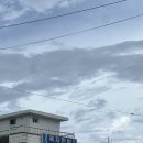 해변숲펜션 | 강원도 고성 송지호 해수욕장 근처 펜션 숙소 - 해변펜션 내돈내산 후기