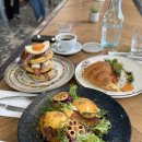 마루마켓 | 멜버른도서관 토리스 말차 멜버른시계탑 퀸빅토리아마켓 마루동물원 필립아일랜드 펭귄퍼레이드 후기