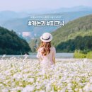 온코리아 주식회사 이미지