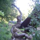 거목산장 이미지