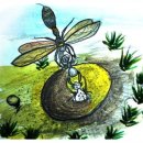 개미목장 이미지