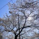 CU 소요산점 | 소요산 벚꽃 등산코스 길 잃지 마셔요
