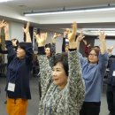 실버라인체조 이미지