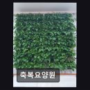 인중로 | [인천 요양원/추천/후기/가격] 축복요양원 5점 만점 평점의 신뢰감