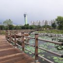 신장둔치 이미지