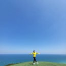노랑닻