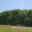 등구농장 이미지