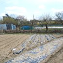 추동농장 이미지