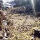 내곡동-5 이미지