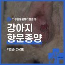 대방동물병원 이미지