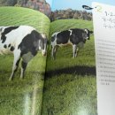 일선목장 이미지