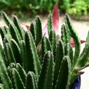 종명랜드 이미지