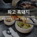 제주도 흑돼지 맛집 추천 둘이서 1키로 먹은 화고 흑돼지 신시가지점