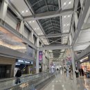 152 | 에어프레미아 하와이 호놀룰루행 YP151, YP152 왕복 후기 (ft. 결항 및 보상 후기 ..✈️)