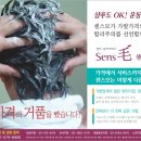 심는가발 이미지