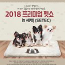 프리미엄펫 이미지