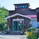 건강한 오리농장 이미지