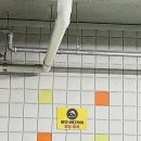 비엣바디케어