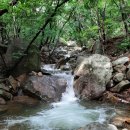 녹동목장 이미지