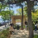 이케아 앞 횡단보도(정문) | 부산 해운대 카페 추천 모모스 커피 마린시티점, 도심속 오아시스 같은 정원과 내돈내산 솔직후기