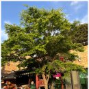 오늘은 오리(본점) 이미지