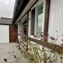 스테이담안 이미지