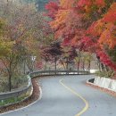 경춘선 자전거도로10 이미지