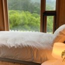 소호 푸른정원 이미지