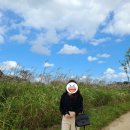 주문진중학교 버스정류장 이미지