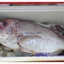 송악 낚시터 이미지