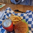 1409 | 안동맛집 말콥버거 내돈내산 후기