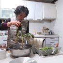 명석농협 앞 이미지