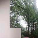 향-녹음의 계절 이미지