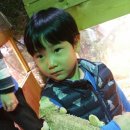 애니 팜 이미지