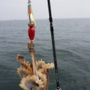 태훈모터스 이미지