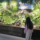 521 | 구리시 가볼만한곳 / 구리시 여행후기 - 521생태학습