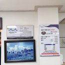 소망식당 이미지