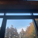 중문에코 | [제주카페] 테라로사 중문 에코라운지 DT점 후기