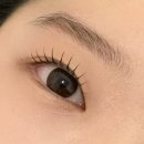 래쉬빈 이미지