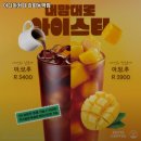 이디야커피 강화동막점