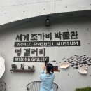 세계조개박물관 | 비오는날 제주 서귀포 여행코스 세계조가비박물관 내돈내산 관람 후기 아이와 함께 즐기는 실내 명소