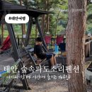 숲속파도소리 | 태안 펜션 추천! 해루질 체험 전문 숲속파도소리펜션