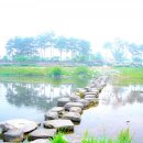 제천푸른솔산악회/충남예산 예당호 둘레길 + 공주 유구색동 수국축제 기행계획 이미지