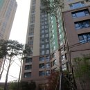 와이약국 이미지