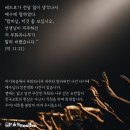 (주)마가 이미지